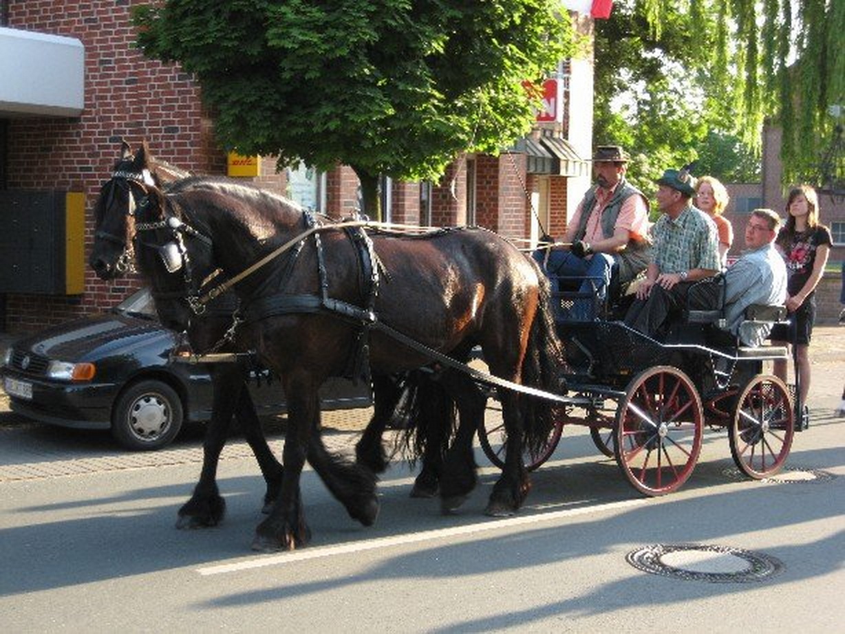 Schuetzenfest2008 01